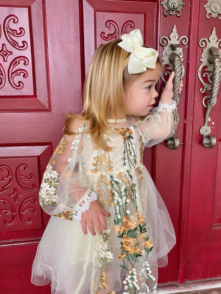 Lace Belle Dress